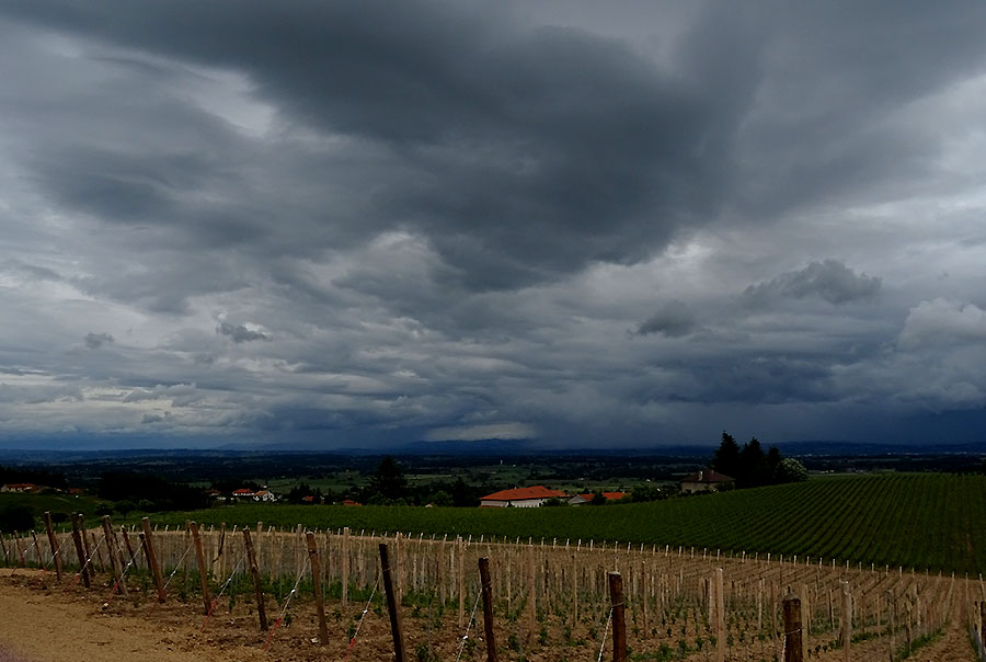 2016-05-30-france22www