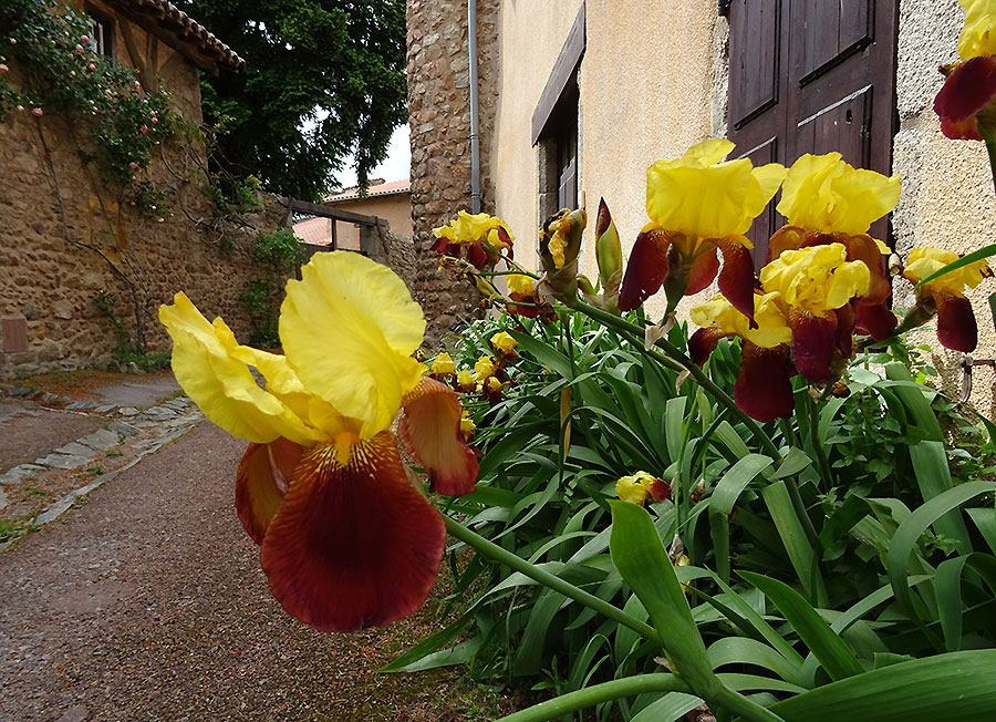 2016-05-30-france40www