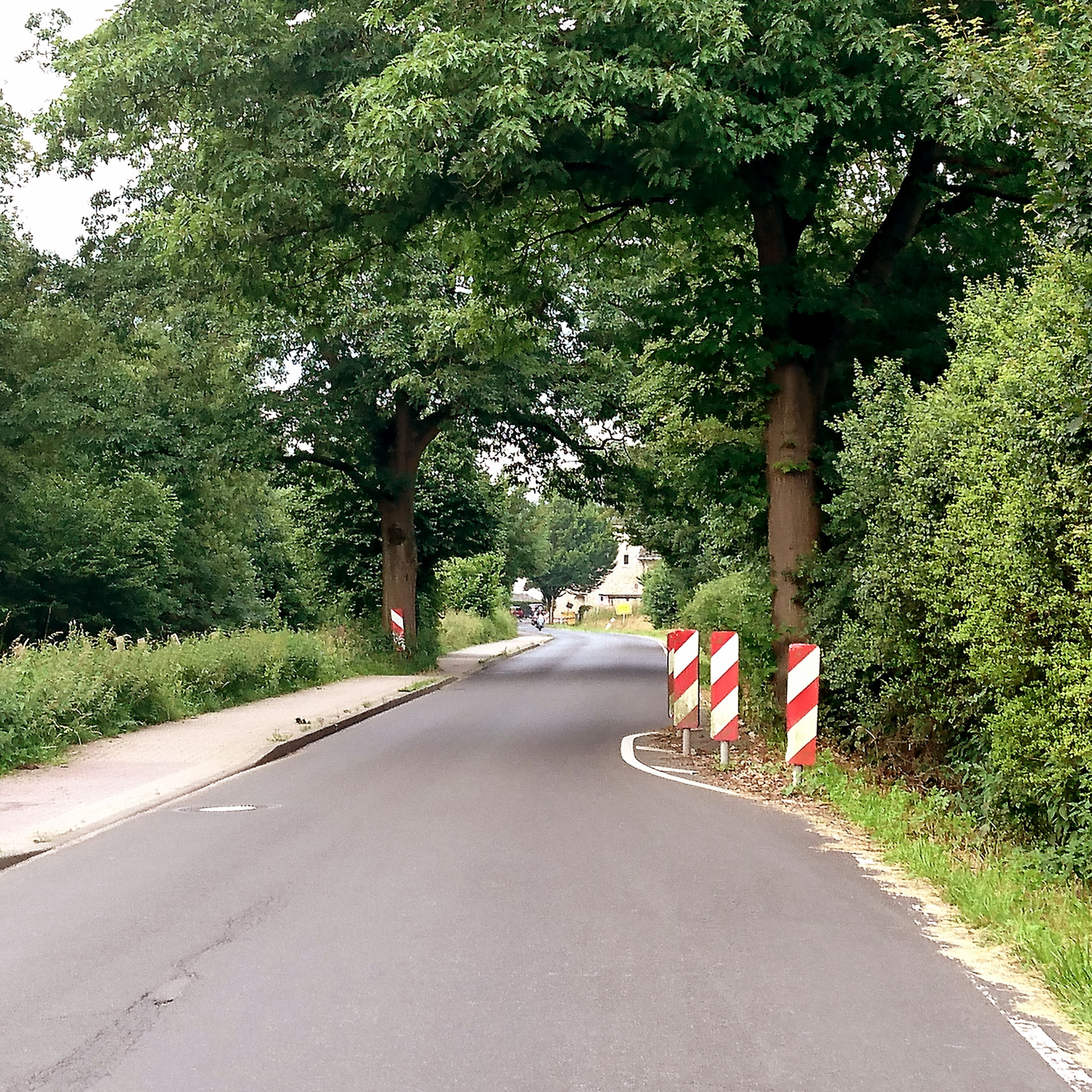 Der beschützte Baum
