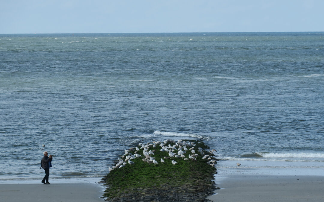 Norderney-Neuling