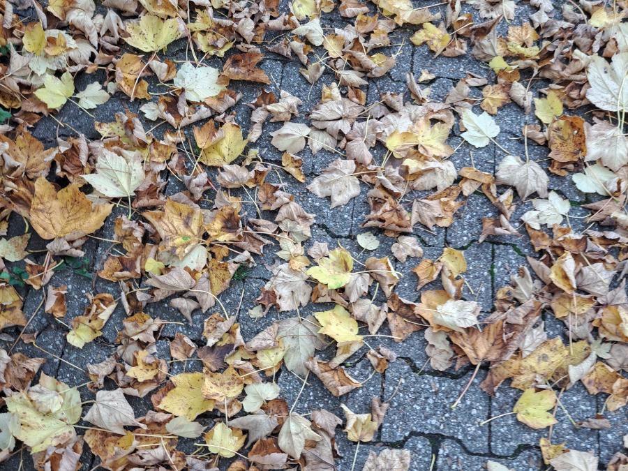 Was schön war [20.10.2025]