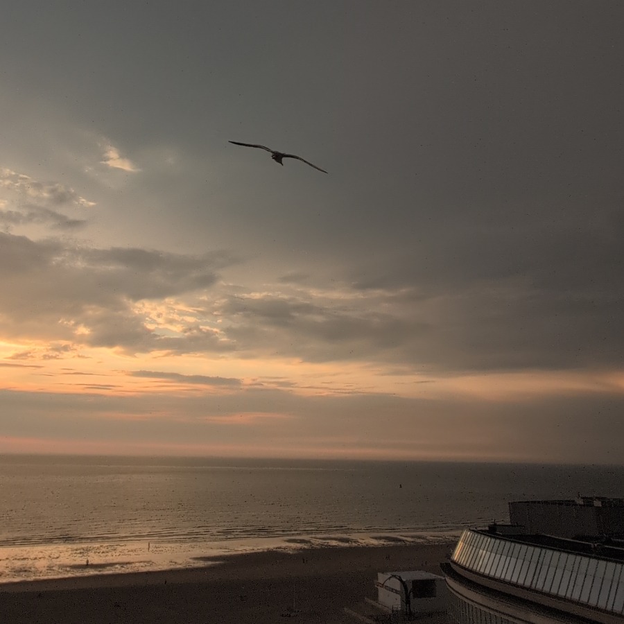 20260621_ostende
