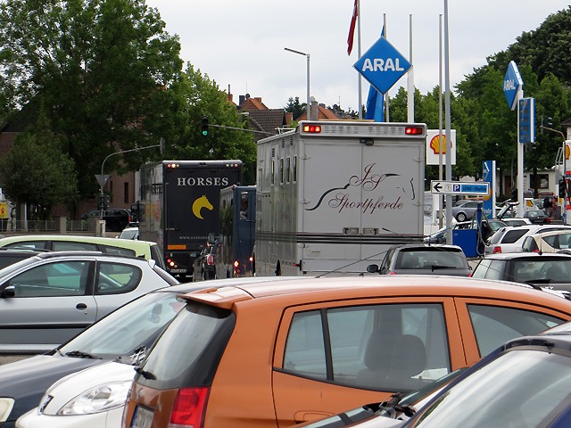 Leben neben der Reit-WM