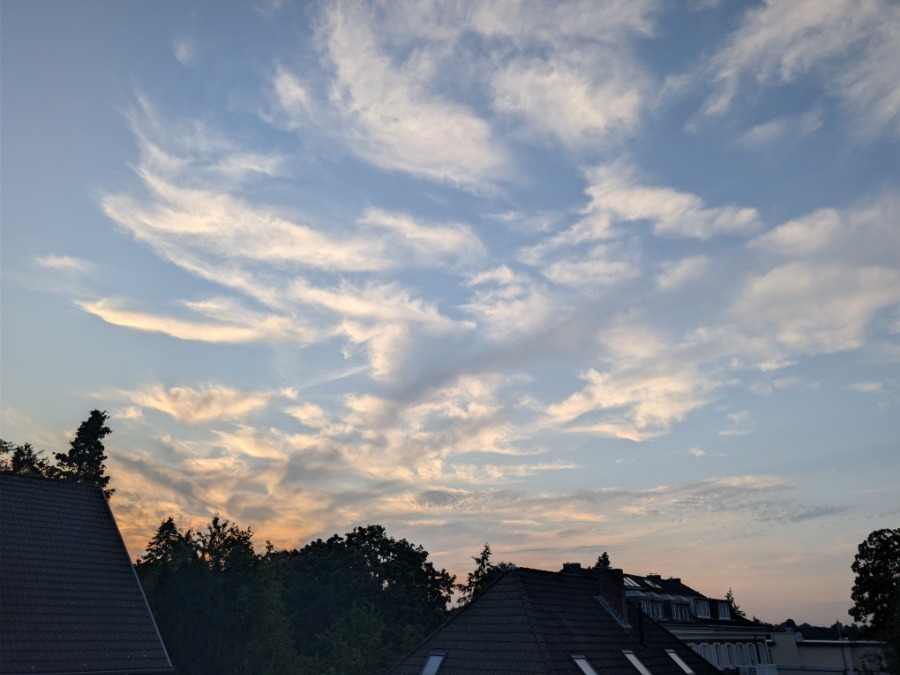 Was schön war [20.08.2026]